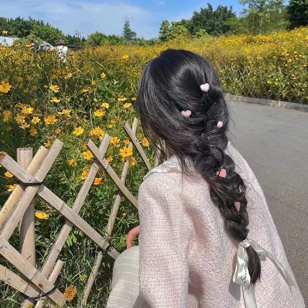 猫咪后院之家